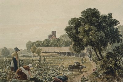 Jardin maraîcher à Chelsea - George the Younger Barret