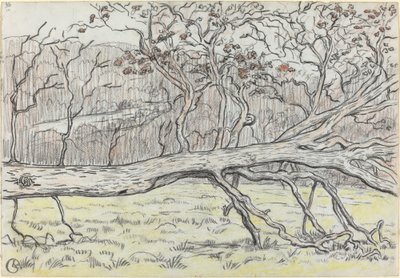 Arbre abattu, Normandie - Georges Lacombe