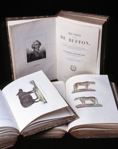 Nature morte des « Œuvres complètes de Buffon » par le naturaliste Georges Louis Leclerc, comte de Buffon (1707 - 1788). Gravure de 1837 - Georges Louis Leclerc