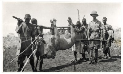Lion à Bahr el Ghazal, Am Dafok, 1925 - Georges Marie Haardt