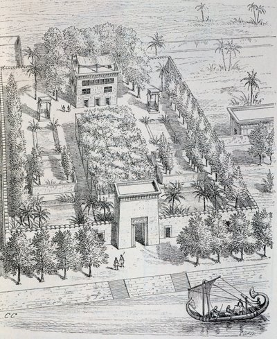 Vue d