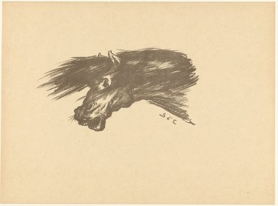 Tête de cheval (L
