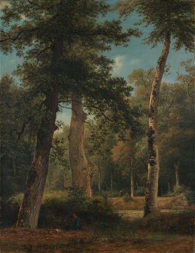 Une forêt à Fontainebleau - Georgius Jacobus Johannes van Os