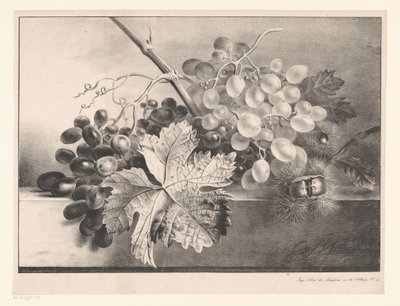 Nature morte avec raisins et châtaignes - Georgius Jacobus Johannes van Os