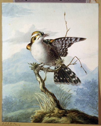 Un petit oiseau - Georgius Jacobus Johannes van Os