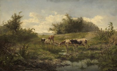 Vaches près d