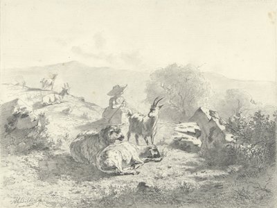 Bergère avec chèvres et moutons dans un paysage montagneux - Gerard Bilders