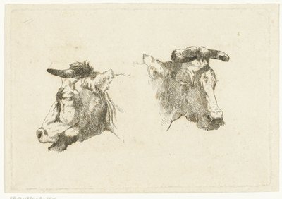 Deux têtes de vaches - Gerard Bilders