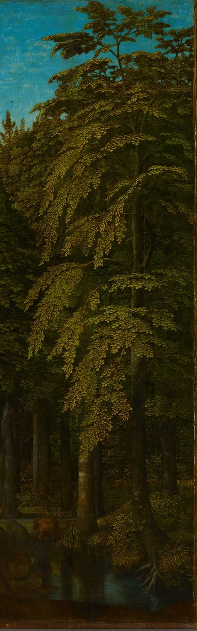 Vue dans une forêt, aile droite extérieure d