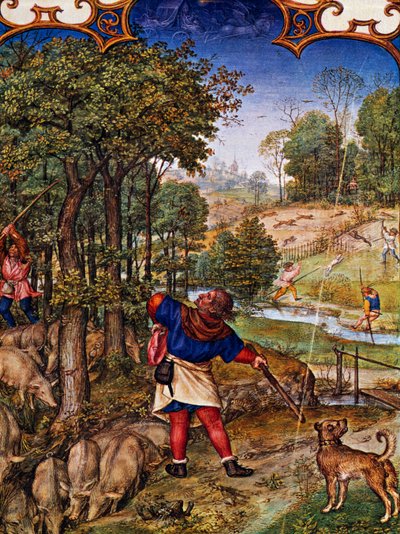 Mois de novembre, Récolte de glands et chasse au lièvre, miniature du Bréviaire Grimani, avec miniature par Gerard Horenbout, Alexander et Simon Bening, cod Lat I, 99 f 11v, Pays-Bas - Gerard Horenbout