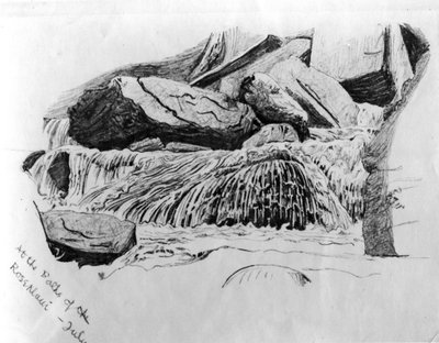 Aux Bains de Rosenlaui - Juillet, c.1867 - Gerard Manley Hopkins