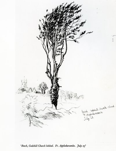 Hêtre, église de Godshill derrière. Fr. Appledurcombe. 25 juillet, vers 1860 - Gerard Manley Hopkins