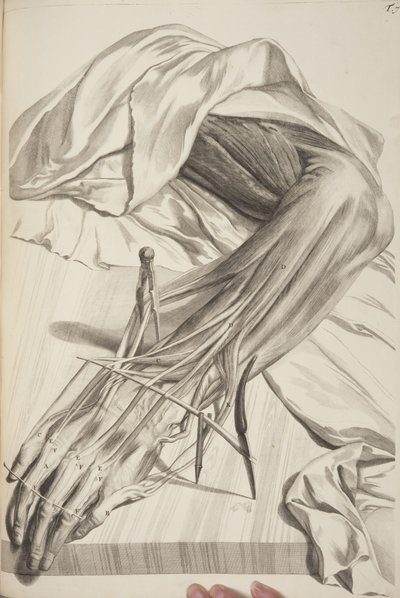 Anatomia Humani Corporis par Govard Bidloo, 1685 - Gerard de Lairesse