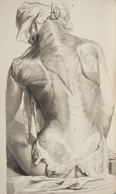 Anatomia Humani Corporis par Govard Bidloo, 1685 - Gerard de Lairesse