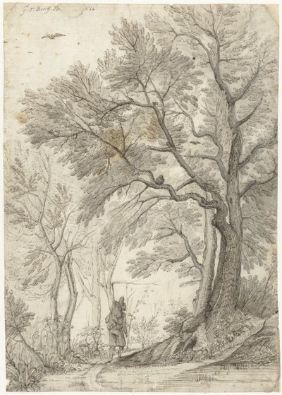 Bois de la Villa Madama près de Rome - Gerard ter Borch