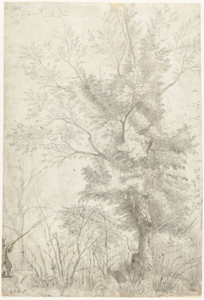 Bois de la Villa Madama près de Rome, avec un chasseur tirant - Gerard ter Borch