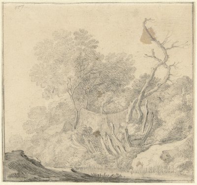 Maisons entre des arbres près de l