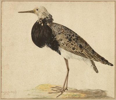 Debout, debout, avec une collerette - Gerardus van Veen