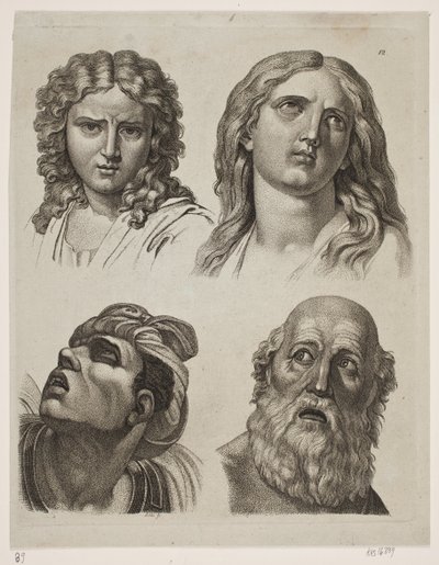 Quatre études de têtes d