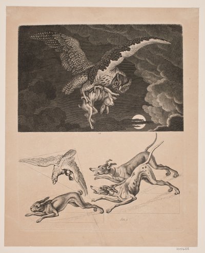 Tableau avec chouette volant avec un lièvre, en dessous; chiens, lièvre et faucon de chasse - Gerhard Ludvig Lahde
