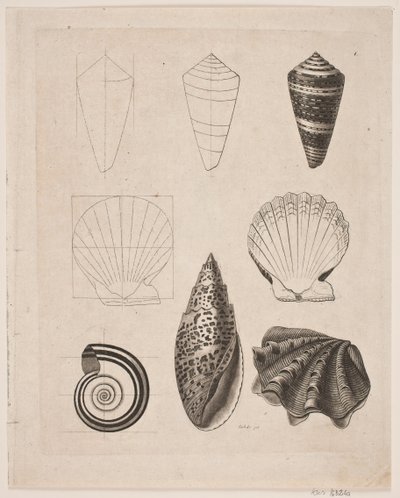 Tableau avec des escargots - Gerhard Ludvig Lahde