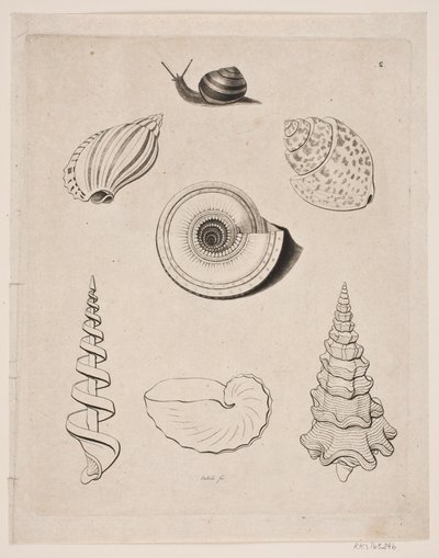 Tableau avec escargots - Gerhard Ludvig Lahde