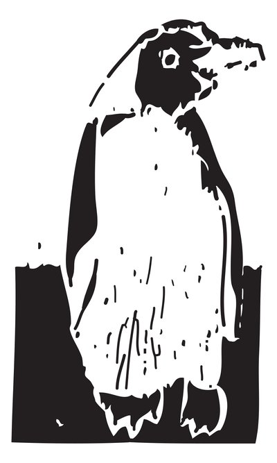 Pingouin - Gerhardt Isringhaus