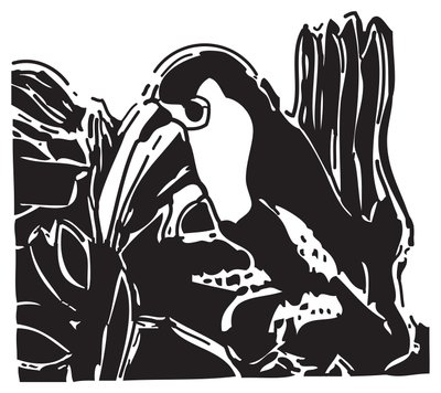 Toucan - Gerhardt Isringhaus