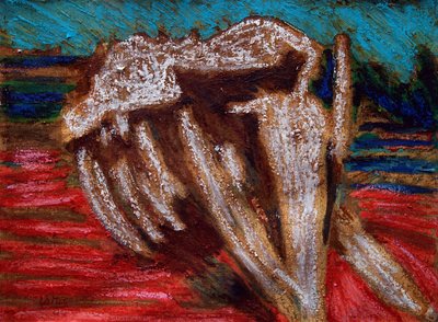 Squelette de baleine - Gerhardt Isringhaus