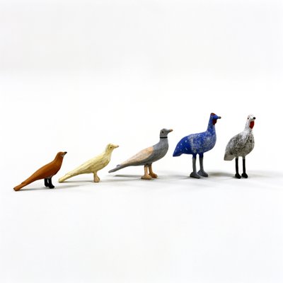5 oiseaux d