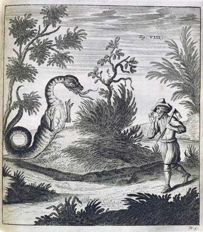 Un dragon effrayant, vers 1660 - German School