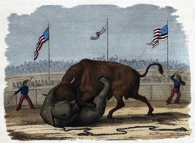 Un combat féroce entre un taureau et un ours dans une arène. Dans "Wenn Jemand eine Reise thut, so kann er was erzählen" (Quand quelqu