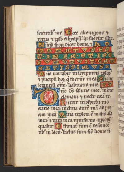 Initiale et texte (vélin) - German School