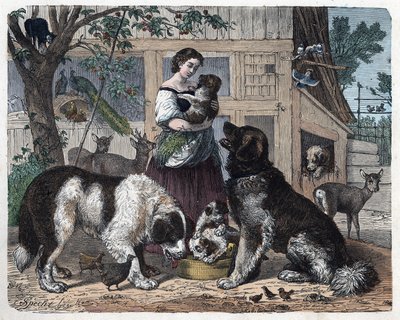 Affection entre une fermière et ses chiens. Dans "Wenn Jemand eine Reise thut, so kann er was erzählen" (Quand quelqu
