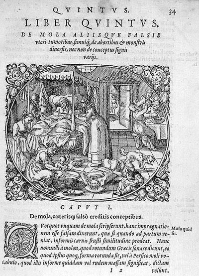 Après la naissance, illustration du chapitre 1, Livre 5 de 