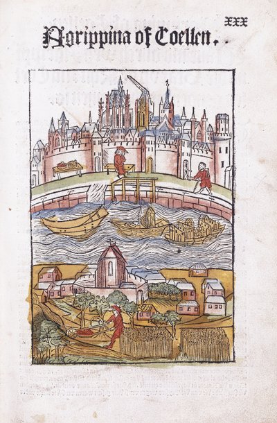 Agrippina de Coellen - German School