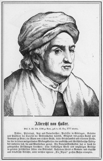 Albrecht von Haller - German School
