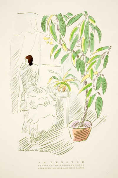 Am Fenster, plantes par Hermann Rothe, de Styl, pub.1922 - German School
