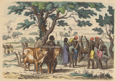 Agriculteur et chasseurs égyptiens anciens (gravure en couleur) - German School