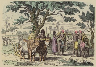 Agriculteur et chasseurs égyptiens anciens (gravure en couleur) - German School