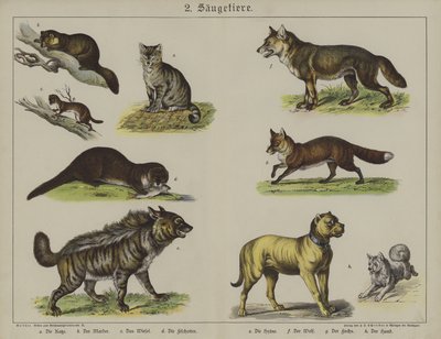 Animaux - German School