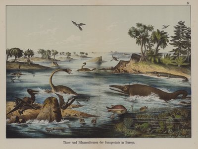 Animaux et plantes de la période jurassique en Europe - German School