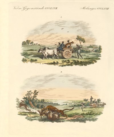 Antilopes chassant avec des léopards - German School