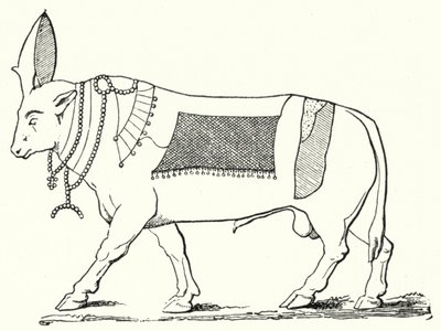 Apis, taureau sacré de l