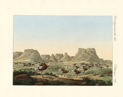 Région en Afrique du Sud au cap de Bonne-Espérance - German School