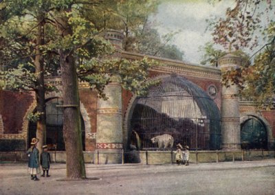 Enclos des ours, Jardin zoologique de Berlin, Allemagne - German School