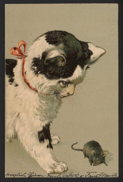 Chat jouant avec une souris (lithographie couleur) - German School