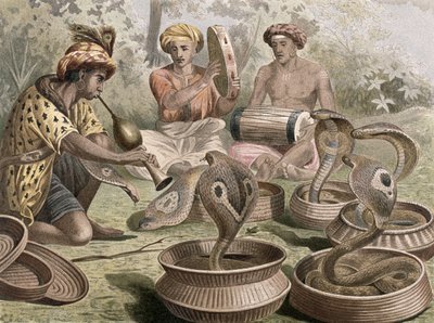 Cobra, planche de Brehms Tierleben: Allgemeine Kunde des Tierreichs, vol.7, p.355, publié par Bibliographisches Institut, 1892 - German School