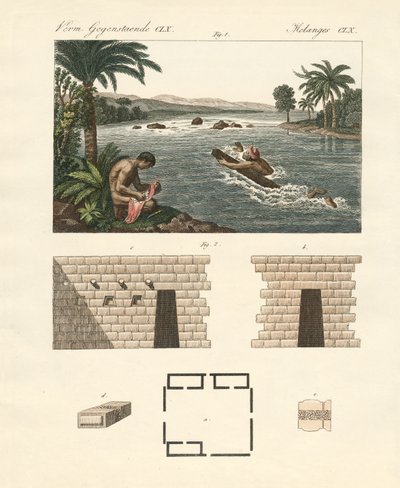 Curiosités de l
