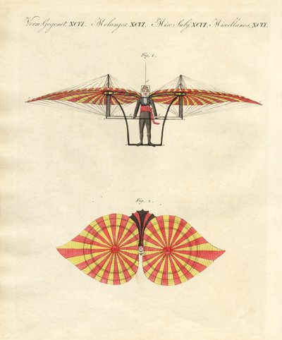 Machine volante de Degen (gravure en couleur) - German School